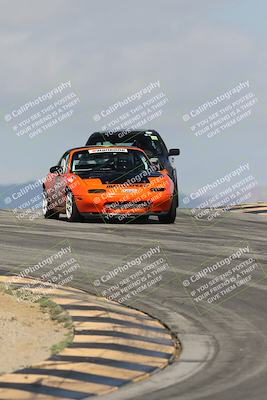 media/Oct-11-2025-Lucky Dog Racing (Sat) [[f5b53147c4]]/2-First Stint/2-Turns 9 and 10/